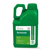 Гербицид Антизлак 5л